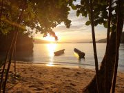 Triton Bay: Tauchen am Ende der Welt