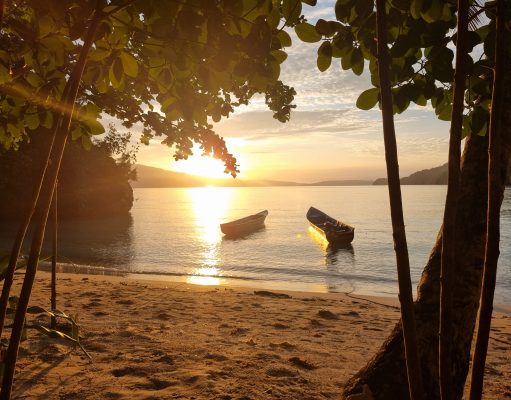 Triton Bay: Tauchen am Ende der Welt